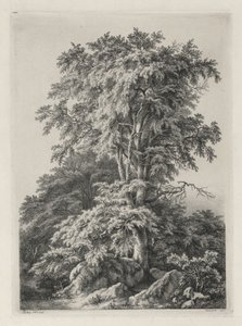 Studien, nach der Natur gezeichnet und graviert: Der Strand, Fontainebleau von Eugene Bléry