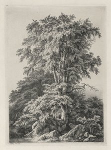 Studien nach der Natur gezeichnet und graviert: Der Strand, Fontainebleau..., 1840 von Eugene Bléry