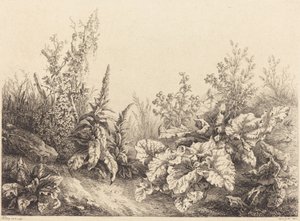 Studie einer Klette, 1840