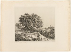 Das Bouquet der Bäume, oder Die Linden (Erinnerung an die Sarthe)