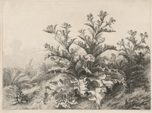 Die große Distel (Le Grand Chardon) von Eugene Bléry