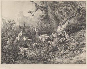 Wasserampfer und Brombeeren an einem Schütz von Eugene Bléry