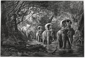 Auf dem Weg in den Wald, die Expedition reist auf dem Rücken eines Elefanten. Gravur von Eugene Burnand zur Illustration der Geschichte "Reise in Oberlaos", 1880, von Dr. P. Neis. Veröffentlicht in Le Tour du Monde, nouveau journal des voyages, 2. Semester von Eugene Burnand