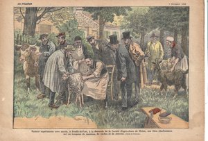 In Pouilly-le-Fort, auf Anfrage der Meluner Landwirtschaftsgesellschaft, testete Pasteur erfolgreich sein Milzbrandvirus an einer Herde von Schafen, Kühen und Ziegen., Le Pèlerin, 5/11/1922