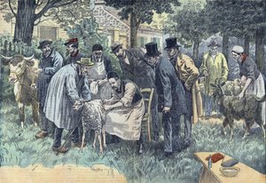 Louis Pasteur (1822-1895), französischer Biologe, experimentierte erfolgreich in Pouilly-le-Fort auf Anfrage der Landwirtschaftsgesellschaft von Melun mit seinem Milzbrandvirus an einer Herde von Schafen, Kühen und Ziegen. Zeichnung von Damblans.