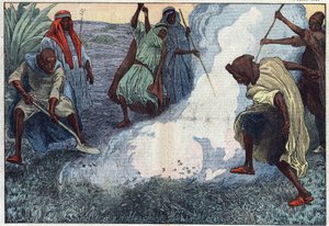Die Zerstörung von Heuschrecken in Algerien: Die Araber verbrennen sie unter Schreien und Verwünschungen. Illustration von Damblans. In „Le Pelerin“ vom 4. Juli