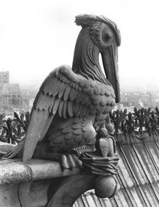 Pelikan-Wasserspeier von der Balustrade der Grande Galerie der Westfassade, Replik eines Originals aus dem 12. Jahrhundert von Eugene Emmanuel Viollet le Duc