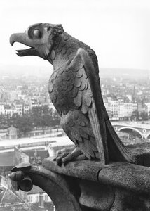 Wasserspeier von der Balustrade der Grande Galerie der Westfassade, Replik eines Originals aus dem 12. Jahrhundert von Eugene Emmanuel Viollet le Duc