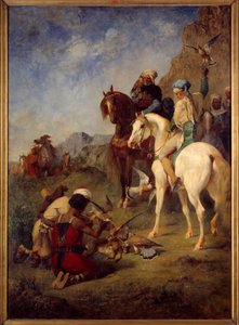 Falkenjagd in Algerien: die Beute