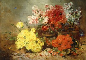 Gänseblümchen, Begonie und andere Blumen in Töpfen