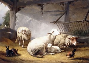 Schafe, Kaninchen und ein Huhn in einer Scheune