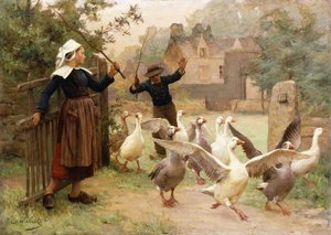 Die Gänse führen