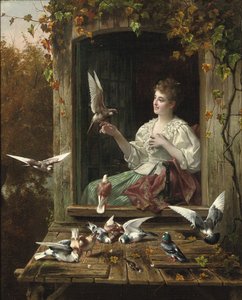 Die Vögel füttern