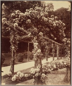 [Jardin de Bagatelle] von Eugène Atget