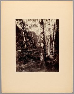 Parc de Saint-Cloud