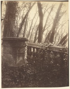 Park von Saint-Cloud, Paris von Eugène Atget