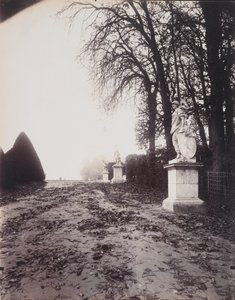 Versailles, Allee des Trois Fontaines (um 1906) von Eugène Atget