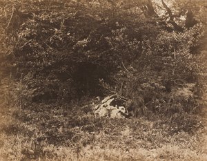 Ein Felsen im Wald, um 1865 von Eugène Cuvelier