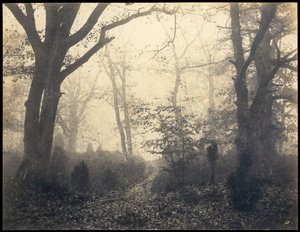 Fontainebleau. Wald bei Barbizon, um 1860