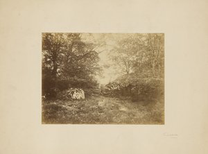 [Landschaftsstudie]