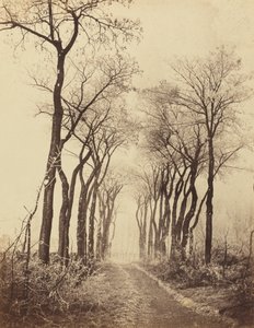 Straße und Bäume mit Raureif, 1860