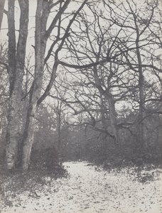 Straße im Wald von Eugène Cuvelier