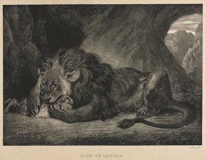Löwe des Atlasgebirges von Eugène Delacroix