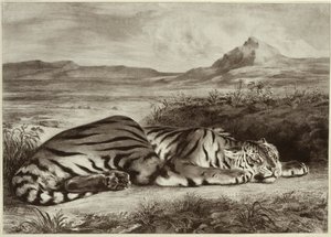 Königlicher Tiger