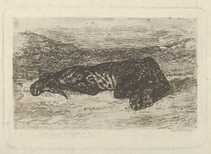 Tiger liegt in der Wüste