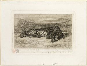 Tiger ruht in der Wüste