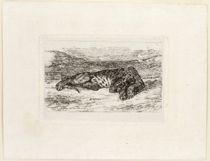 Tiger ruht in der Wüste
