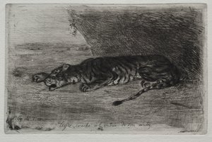 Schlafender Tiger am Eingang zu seinem Versteck