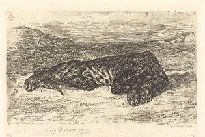 Tiger schläft in der Wüste (Tigre couché dans le désert) von Eugène Delacroix