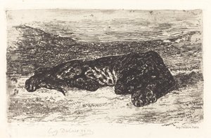 Schlafender Tiger in der Wüste von Eugène Delacroix