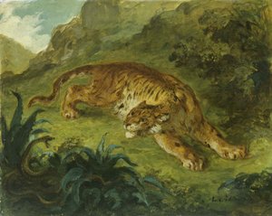 Tiger und Schlange