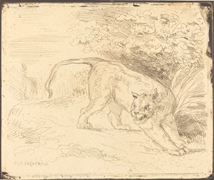 Tiger im Anschlag