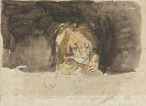 Fleischfressender Löwe, von vorne gesehen, vor einem dunklen Hintergrund von Eugène Delacroix
