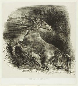 Wildes Pferd oder verängstigtes Pferd verlässt das Wasser von Eugène Delacroix