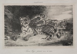 Junger Tiger spielt mit seiner Mutter von Eugène Delacroix