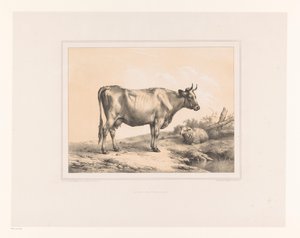 Kuh und Schaf in einer Landschaft