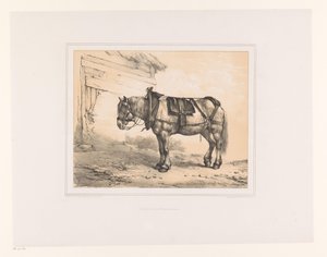 Pferd mit Sattel und Halfter von Eugène Verboeckhoven