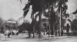 Brasilien: San Paolo, Jardim da Luz von European Photographer