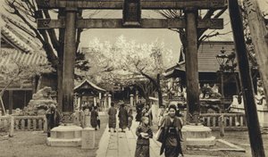 Japan, Straße in Tokio, Zeit der Kirschblüte von European Photographer