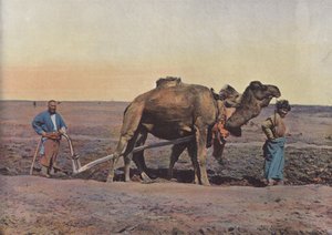 Tekes-Bauer von European Photographer