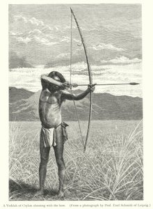 Ein Veddah aus Ceylon, der mit dem Bogen schießt von European School