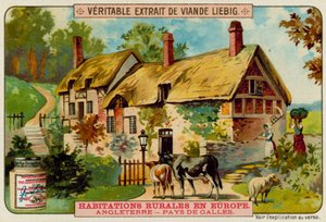 Ein walisisches Bauernhaus von European School