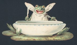 Ein Frosch frisst eine Fliege