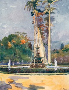 Ein Teil der Avenue der Königspalmen, Botanische Gärten