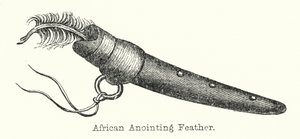 Afrikanische Salbungsfeder