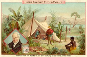 Alexander von Humboldts Expedition nach Südamerika, 1800-1804